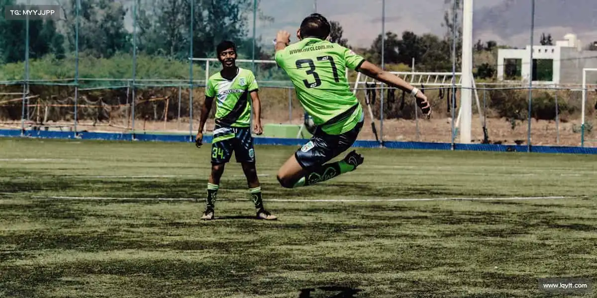 为什么选择我们